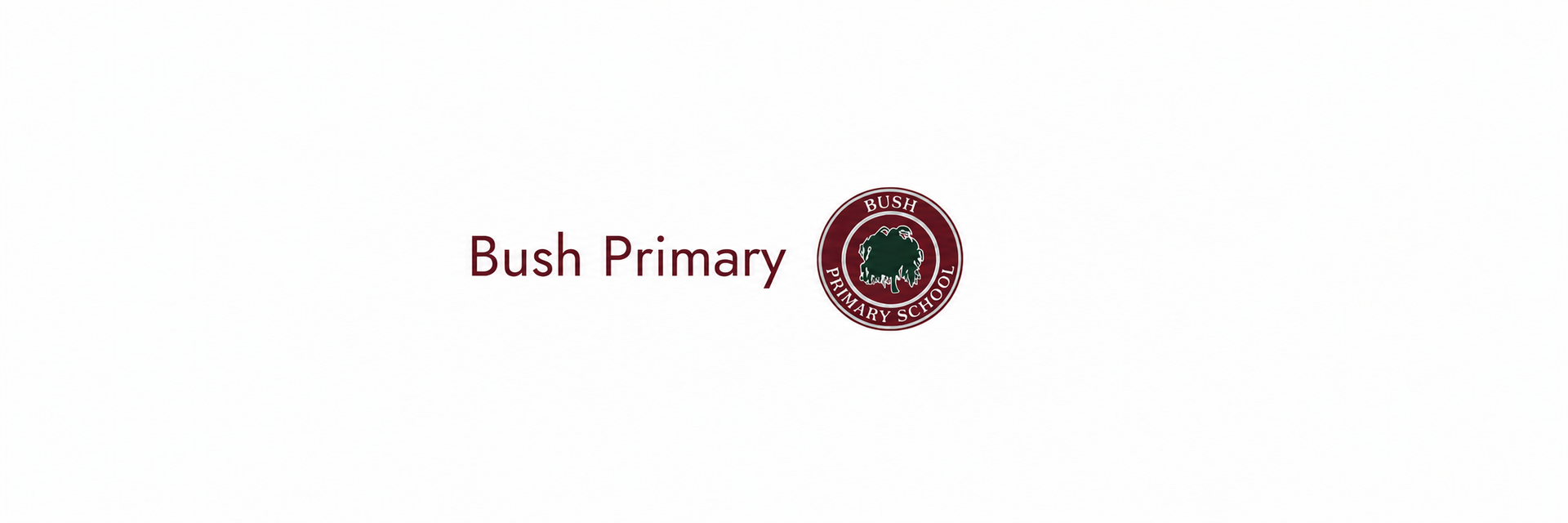 Bush Primary