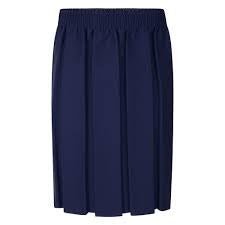 Navy All round pleated skirt